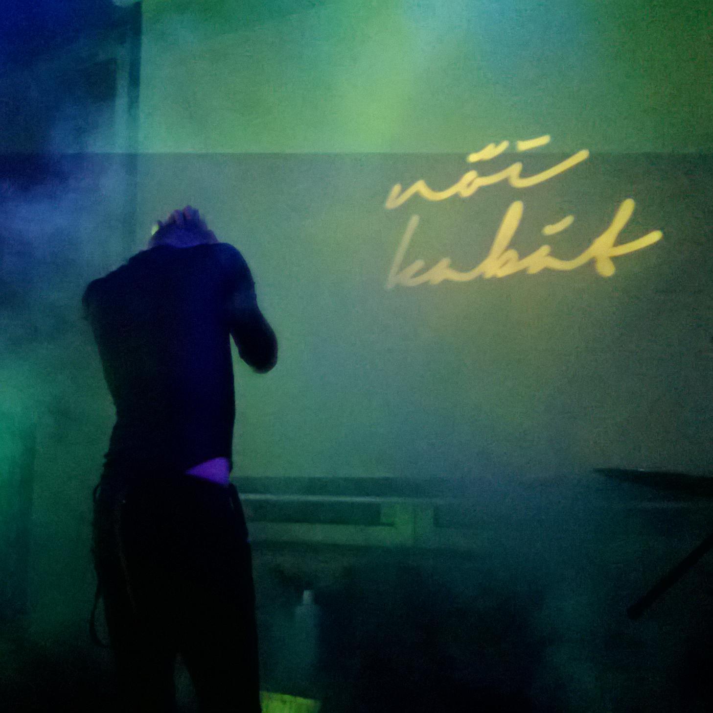 noikabat's profile picture. 