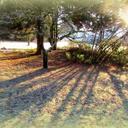 Debi Sullivan - @debispeck12 - Twitter