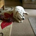 Jason barnard-smith - @jjasonbsmith - Twitter