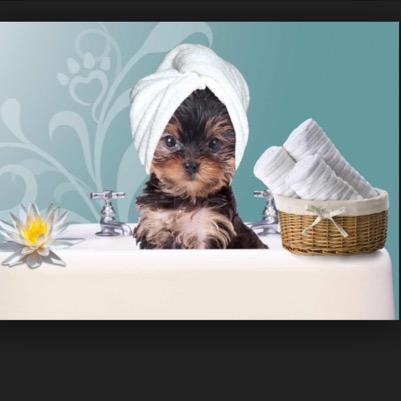 Affordable 
Pet sitter
Pet Walker 
Pet Grooming 
We watch them, when you can't 
From Daily Walks to Weekly Boarding
We are here to give your pet the best