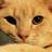 MekanoTheCat's profile image