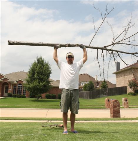 smwallace's profile picture. 