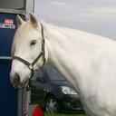 jennie simpson - @jennie_026 - Twitter