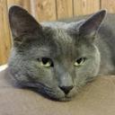 Sherry Becker - @sherryb1350 - Twitter