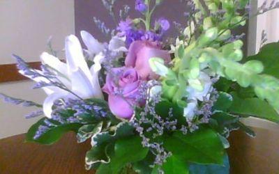 MonicaKlavano's profile picture. Trying to save the world. I solved that problem. Now it is forming the businessthat is presenting the problem. I though the super polymer was the hard part!