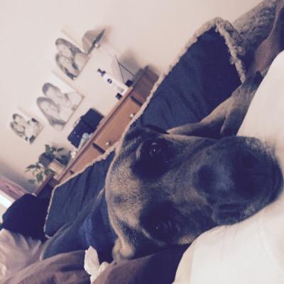 IzzyLuna19's profile picture. 