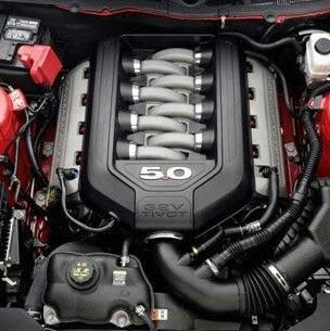 LukaSrdelic's profile picture. 