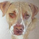 Eileen Potts Dawson - @PottsDawson - Twitter