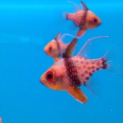 yrj428's profile picture. 