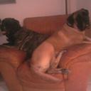 steven weisman - @pirateofnaples - Twitter