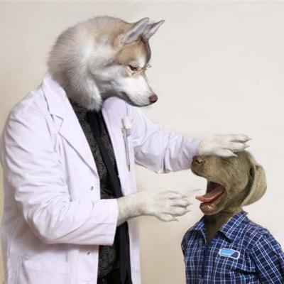 Clínica veterinaria joven, con un gran equipo de profesionales. Nuestra misión, cuidar la salud de su mascota. CITAS 953 676 193 y 671 544 785 URG 648 103 150.