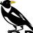 Magpie