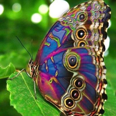 Artículos, noticias, información relacionada con la Psicología para todos los curiosos y apasionados de esta ciencia.