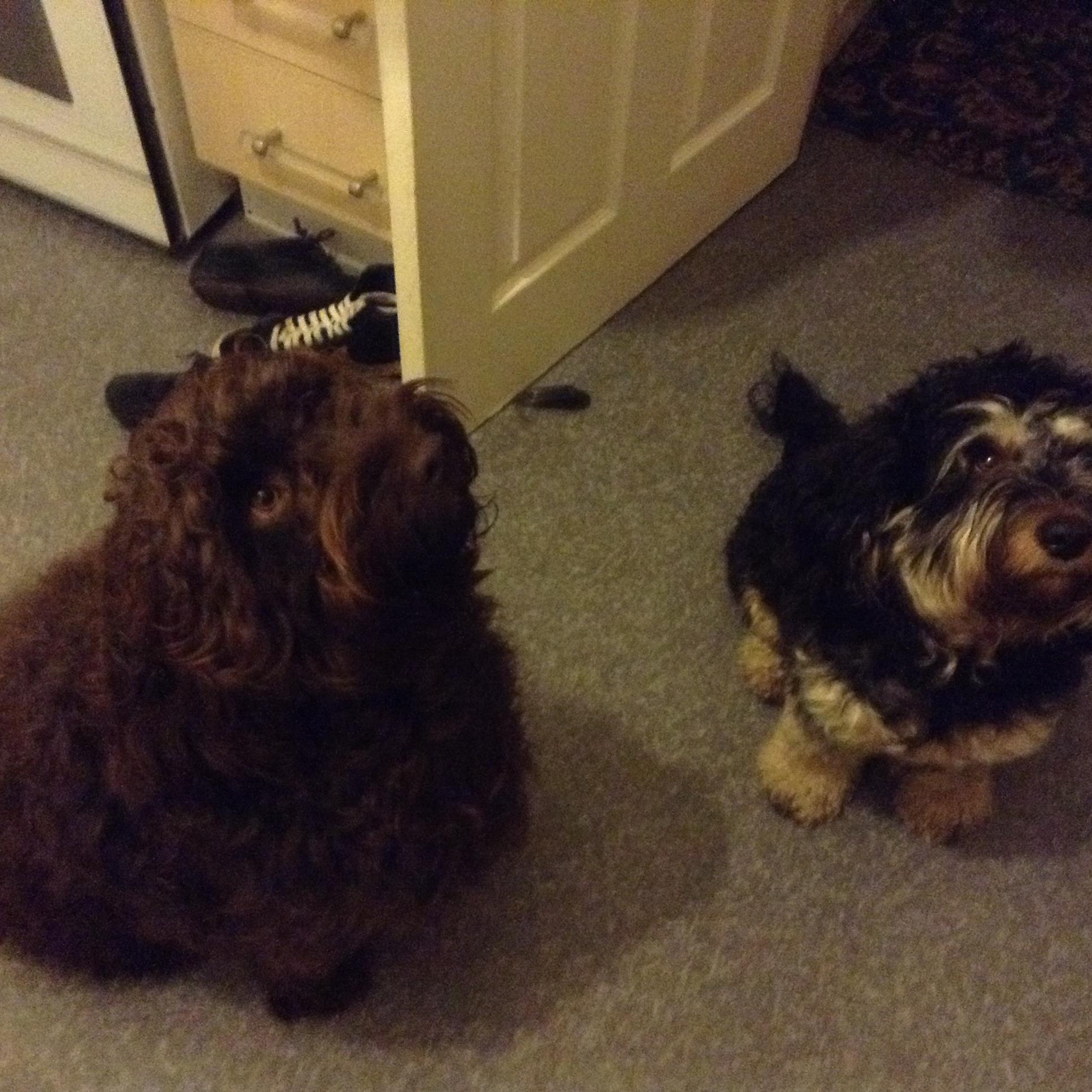 andreabates266's profile picture. 