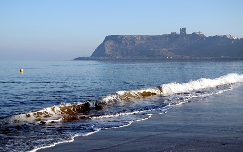 tweetCloser's profile picture. Find Twitter users near you with similar interests