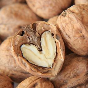 langkahpertama1's profile picture. 