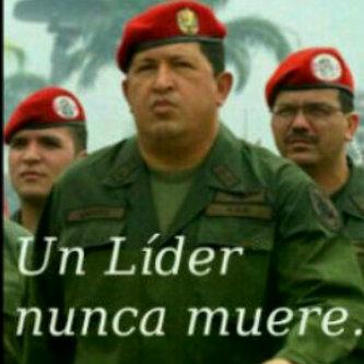 100% Revolucionario
 y Socialista