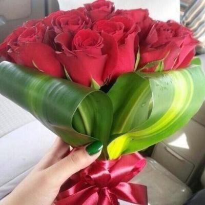 FATN20601's profile picture. 