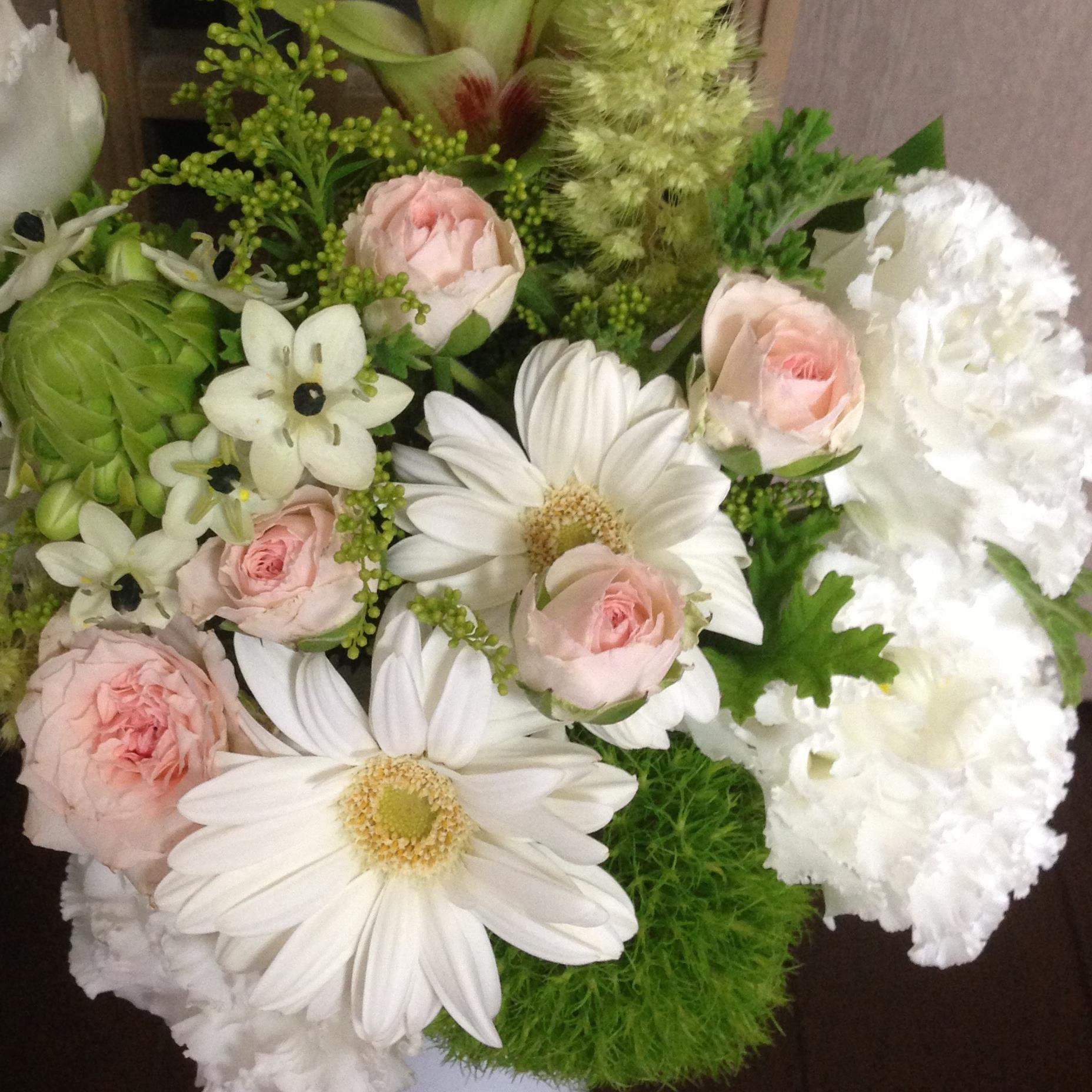 sakura_ame651's profile picture. アイス大好き、平穏にくらしたい20↑