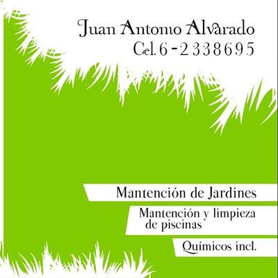 Mantencion de jardines y Mantencion de Piscinas