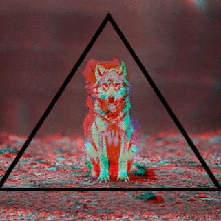 I put GIFs and shit.