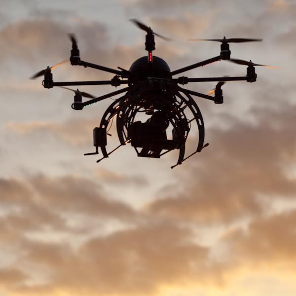 camera_wings's profile picture. 