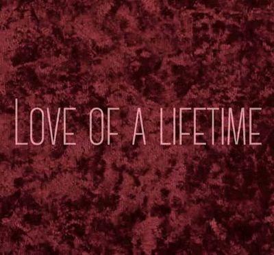 The official twitter for Love of a Lifetime: The Movie