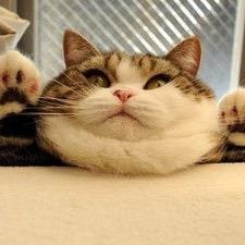 shinlee0926's profile picture. 横浜国立大→プロボクサー→JAFCO→起業
1985年9月26日生まれ。在日韓国人三世。