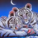 RC and Pat - @pat_christ - Twitter