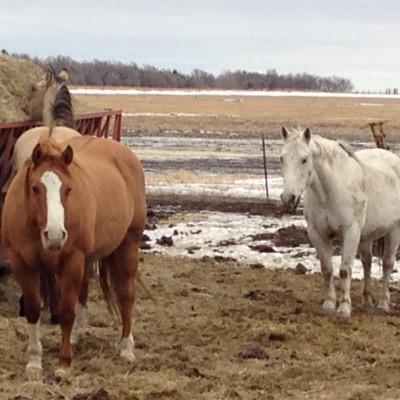 HaagMikayla's profile picture. 