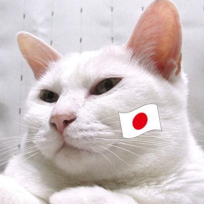 時価総額ロリコン投資家系コレクター。運だけ株歴13年、小型株や割安高配当、株主優待が好物。事業資金以外は株で。【中長期／20倍株／バブル／猫／ゲーム／健康／ダイエット】