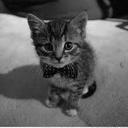 ericka guerra - @ErickaAl1029 - Twitter