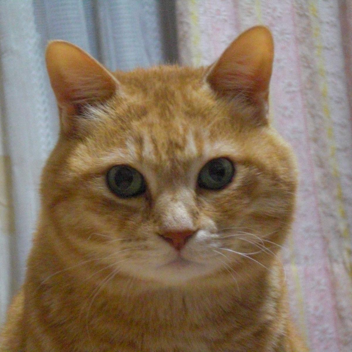 宜しくお願いしますm(_ _)m