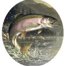 KamFishandGame's profile picture. Kamloops and District Fish and Game Association- protect, enhance, and promote the wise use of the environment for the benefit of present and future generations