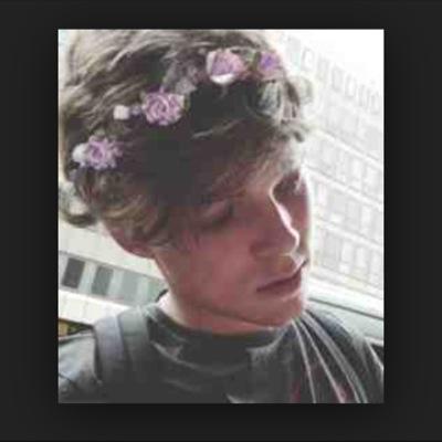 daddy's little kitten 
||dms||gay||