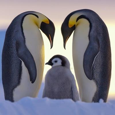Sharing amazing & stunning Photos & Art works from around the world.No claim of right to images on our pages & links,which belong to their creators
