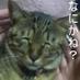 猫神 (@nekokamisa) Twitter profile photo 猫神 (@nekokamisa) Twitter profile photo