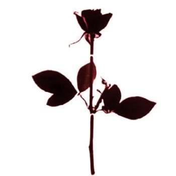 Fan of Depeche Mode
Clip, Live, Passages TV & Archives vidéos
►▲▲