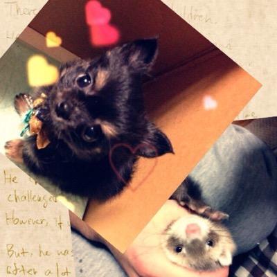 保育士/GACKT♡BUMP OF CHICKEN