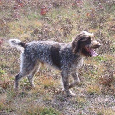 martyfisher1871's profile picture. Senior Moving Consultant @ AMJ Campbell Van Lines (Toronto East); Sales Rep @ Right At Home Realty Inc., Brokerage; Fisher's Express Line Ltd. (est. 1871);