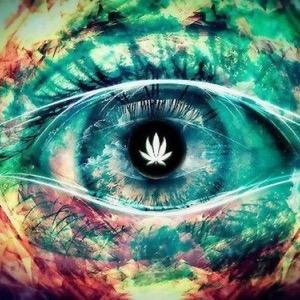 Stoner Nation