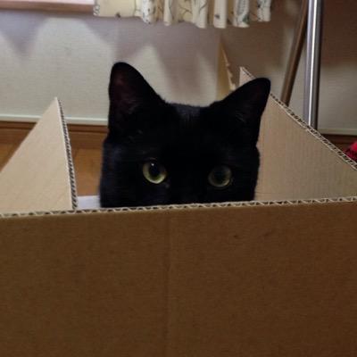 いとうようこ Itobai Twitter