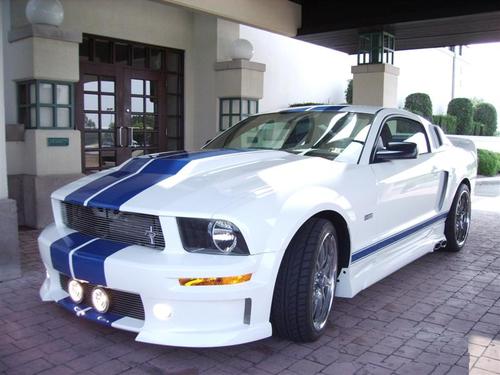 B1SPMMK's profile picture. 