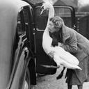 Cora Knight - @oliviatheviper - Twitter