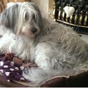 Sandra Mortimer - @Crazyd0nkee - Twitter