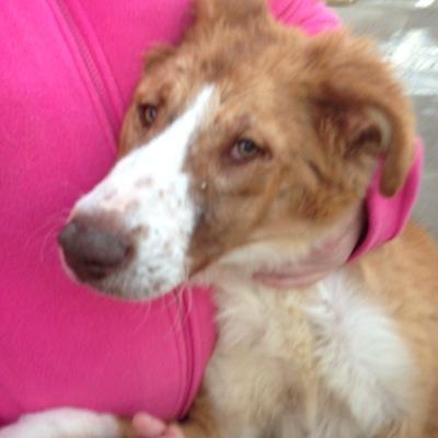 QuinzaAlejandro's profile picture. 