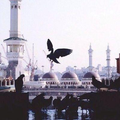 اكتب لنـا يا الله الجنّه بلا حِساب ولا سابقِ عذاب ☁
http://t.co/mlpZ5mjRVP
