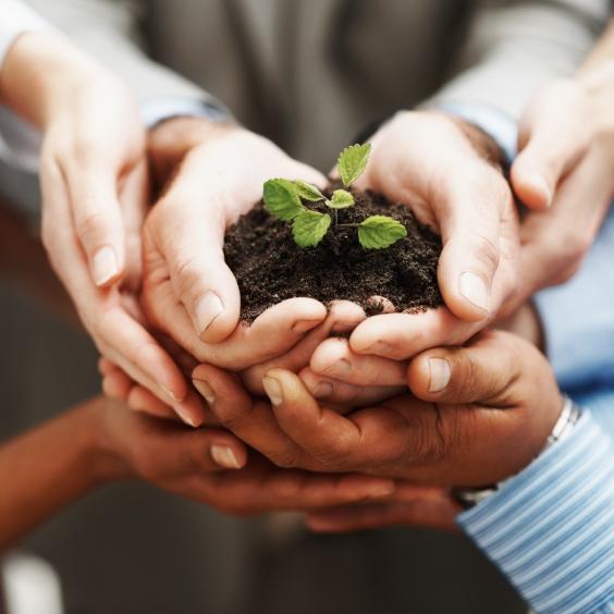 فريق تابع لمركز الموجز للتدريب, لرفع مستوى ثقافة المجتمع بإرسال رسائل يومية  تفاؤل,تطوير,وتنمية مهارات , نقيم دورات مجانية وبأسعار رمزية