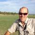 guy veall (@veally) Twitter profile photo