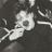 DKS_EXO_12's profile image